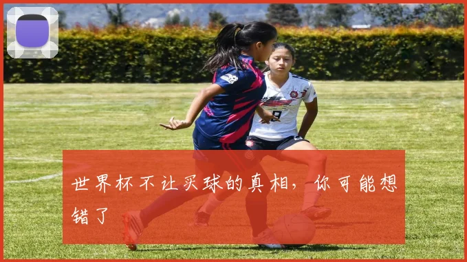 世界杯不让买球的真相，你可能想错了